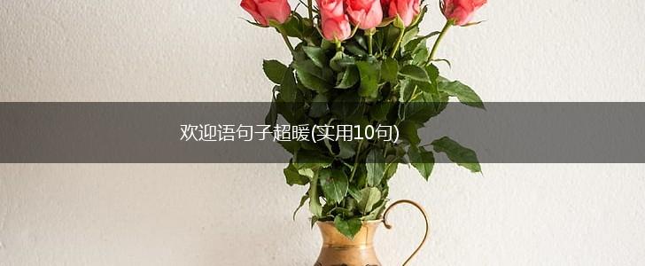 欢迎语句子超暖(实用10句),第1张