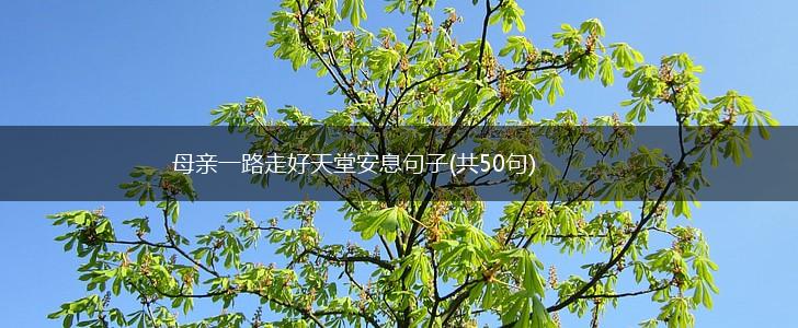 母亲一路走好天堂安息句子(共50句),第1张