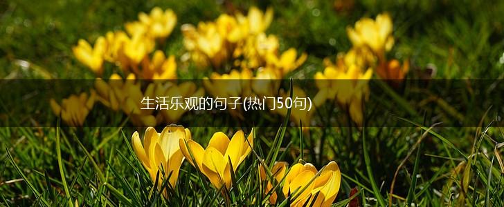 生活乐观的句子(热门50句),第1张