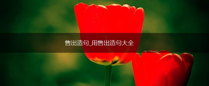 售出造句_用售出造句大全,第1张 售出造句_用售出造句大全,第1张