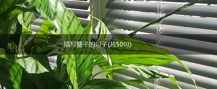 描写簪子的句子(共50句),第1张