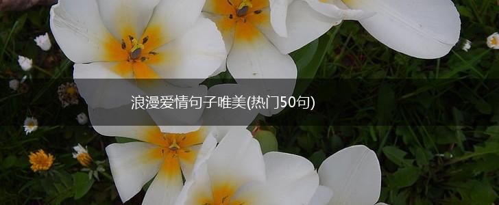 浪漫爱情句子唯美(热门50句),第1张