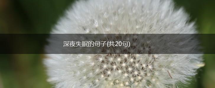深夜失眠的句子(共20句),第1张