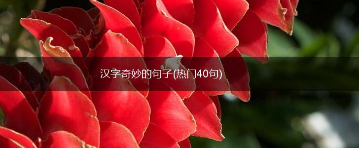 汉字奇妙的句子(热门40句),第1张