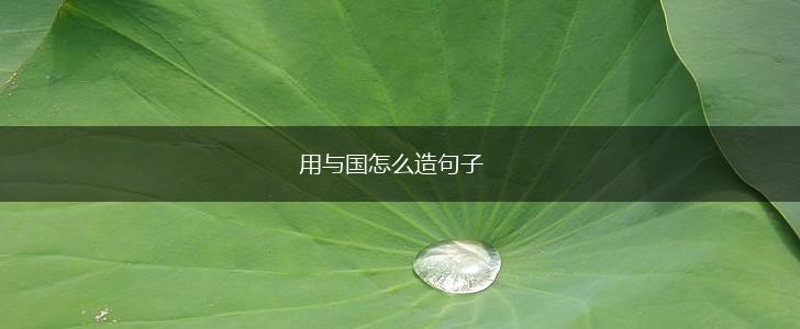 用与国怎么造句子,第1张