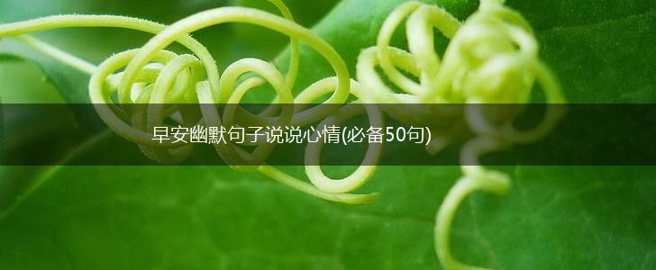 早安幽默句子说说心情(必备50句),第1张