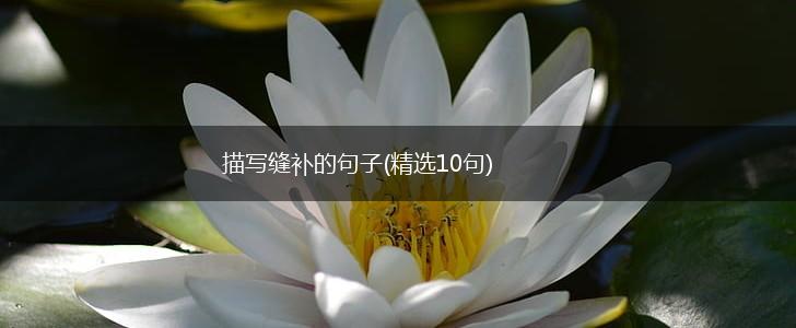 描写缝补的句子(精选10句),第1张