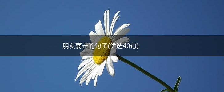 朋友要走的句子(优选40句),第1张