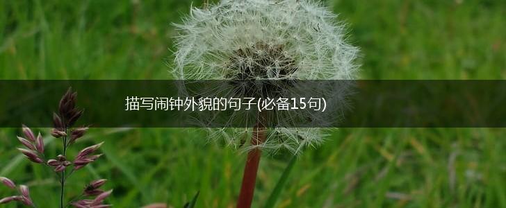 描写闹钟外貌的句子(必备15句),第1张