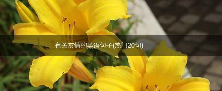 有关友情的英语句子(热门20句),第1张
