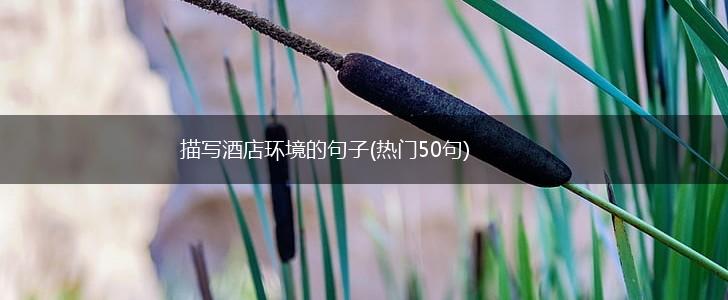描写酒店环境的句子(热门50句),第1张