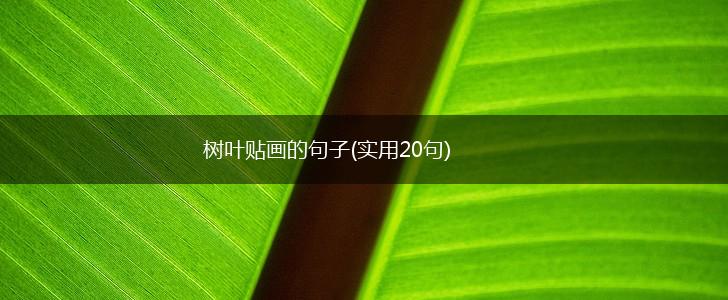 树叶贴画的句子(实用20句),第1张