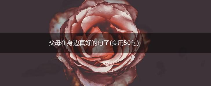 父母在身边真好的句子(实用50句),第1张