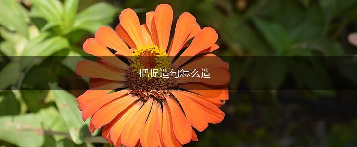 把捉造句怎么造,第1张