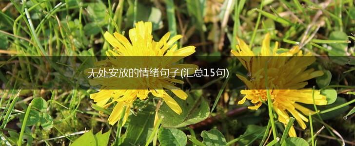 无处安放的情绪句子(汇总15句),第1张