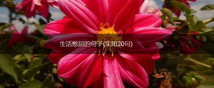 生活憋屈的句子(实用20句),第1张