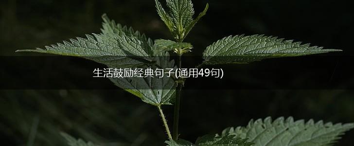 生活鼓励经典句子(通用49句),第1张