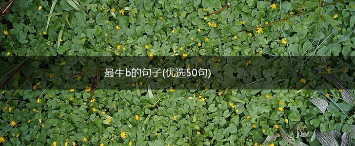 最牛b的句子(优选50句),第1张