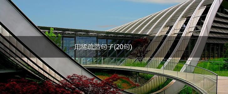 用稀疏造句子(20句),第1张