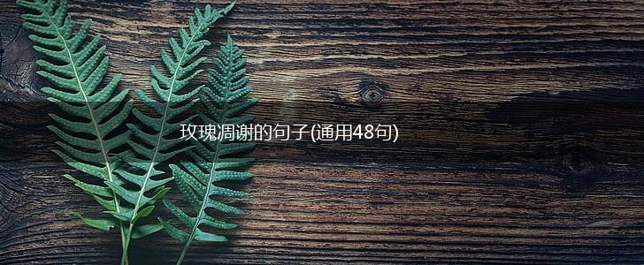 玫瑰凋谢的句子(通用48句),第1张