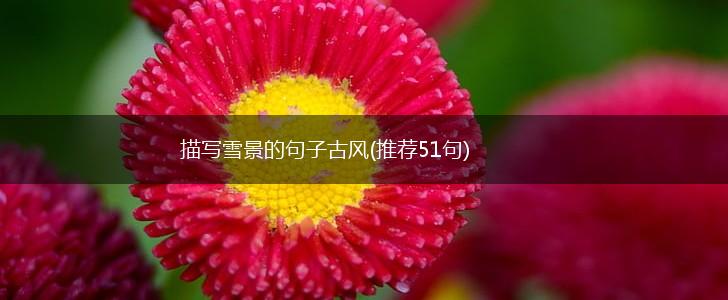 描写雪景的句子古风(推荐51句),第1张