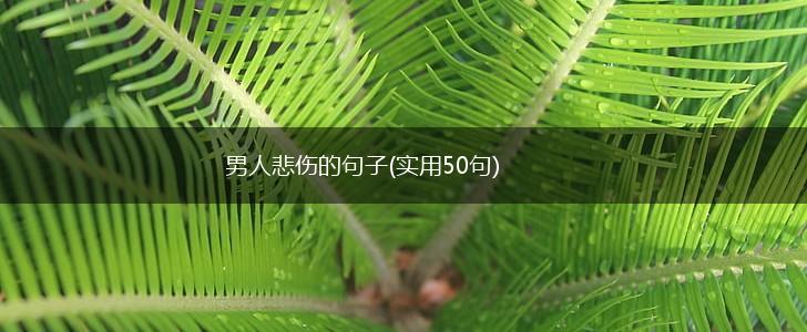 男人悲伤的句子(实用50句),第1张