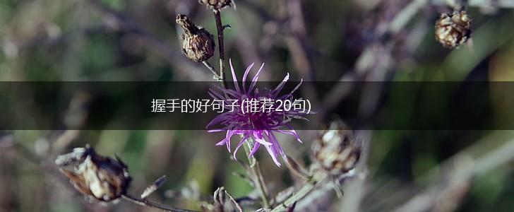 握手的好句子(推荐20句),第1张