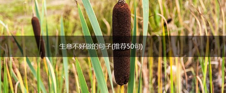 生意不好做的句子(推荐50句),第1张