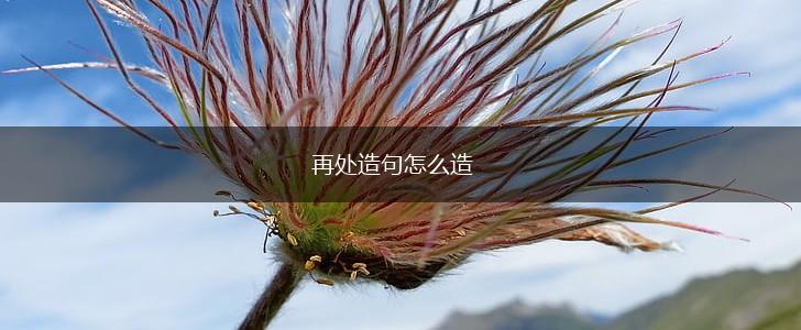 再处造句怎么造,第1张