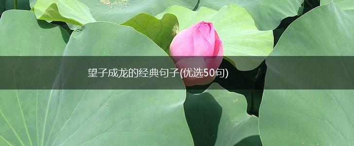 望子成龙的经典句子(优选50句),第1张