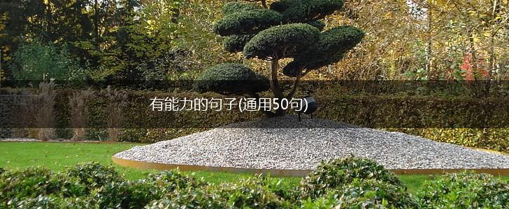 有能力的句子(通用50句),第1张