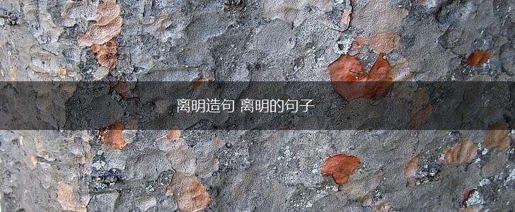 离明造句 离明的句子,第1张