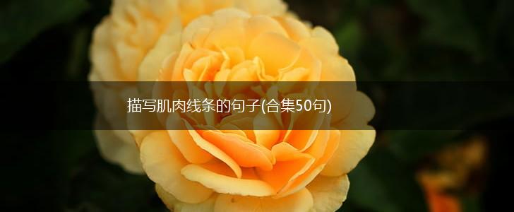 描写肌肉线条的句子(合集50句),第1张