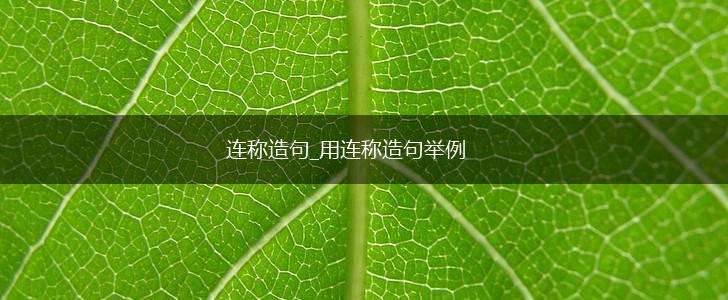 连称造句_用连称造句举例,第1张