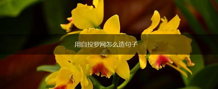 用自投罗网怎么造句子,第1张 用自投罗网怎么造句子,第1张