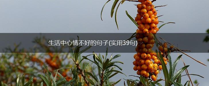 生活中心情不好的句子(实用39句),第1张