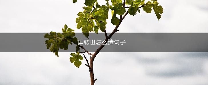 用转世怎么造句子,第1张 用转世怎么造句子,第1张