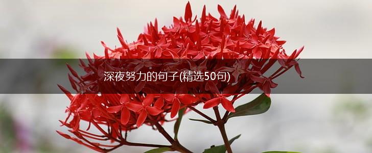 深夜努力的句子(精选50句),第1张