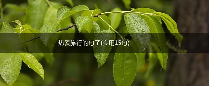 热爱旅行的句子(实用15句),第1张