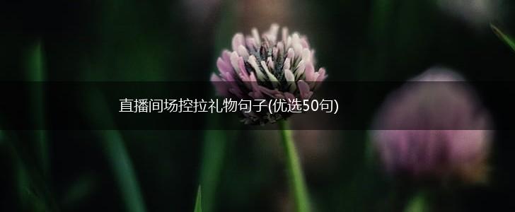 直播间场控拉礼物句子(优选50句),第1张