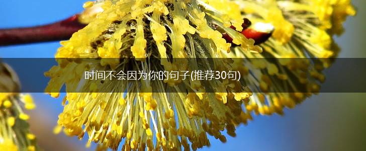 时间不会因为你的句子(推荐30句),第1张