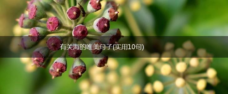 有关海的唯美句子(实用10句),第1张