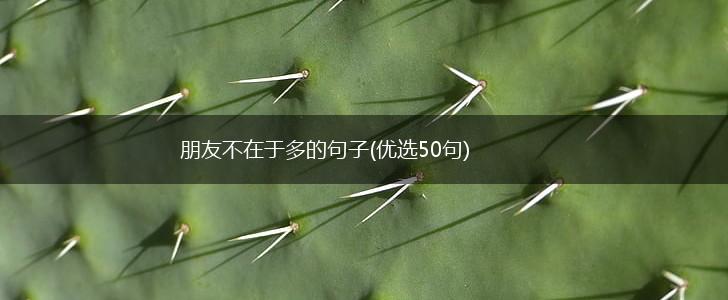 朋友不在于多的句子(优选50句),第1张