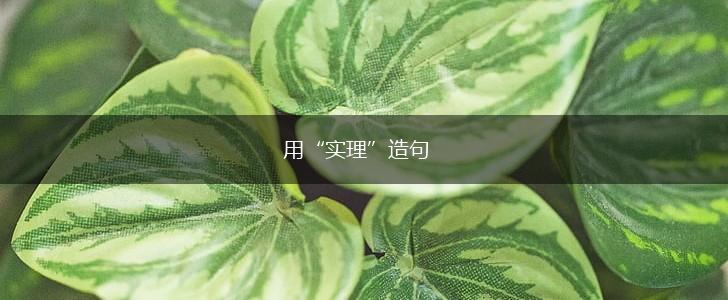 用“实理”造句,第1张 用“实理”造句,第1张