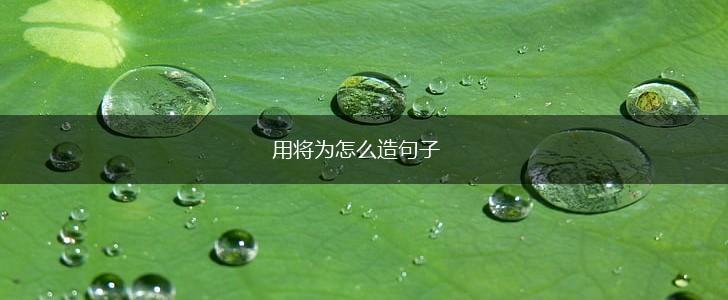 用将为怎么造句子,第1张 用将为怎么造句子,第1张