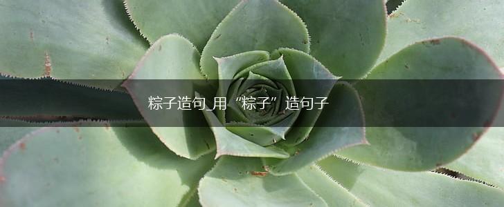 粽子造句_用“粽子”造句子,第1张 粽子造句_用“粽子”造句子,第1张