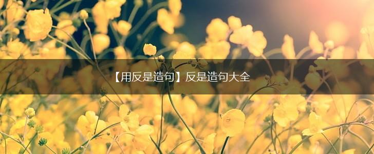 【用反是造句】反是造句大全,第1张