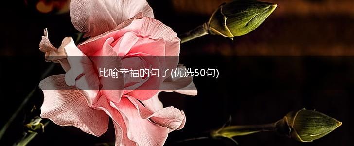 比喻幸福的句子(优选50句),第1张