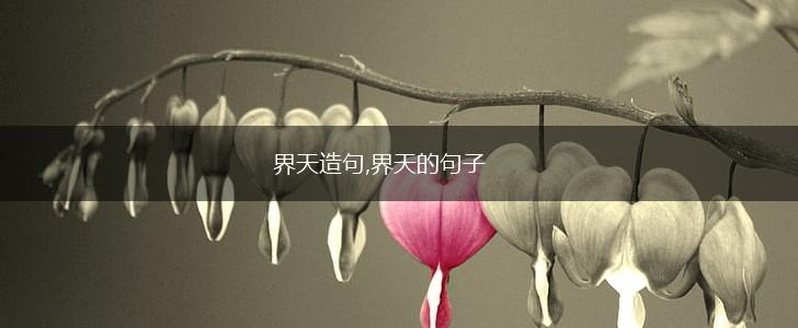 界天造句,界天的句子,第1张 界天造句,界天的句子,第1张
