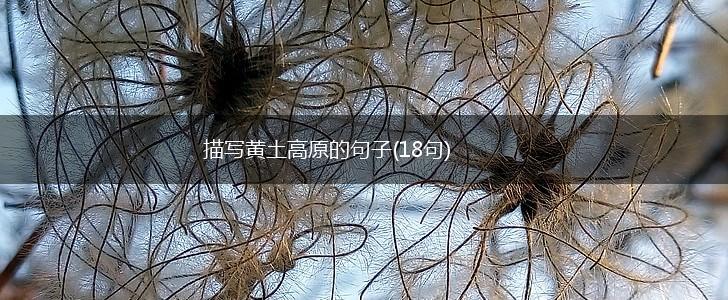 描写黄土高原的句子(18句),第1张